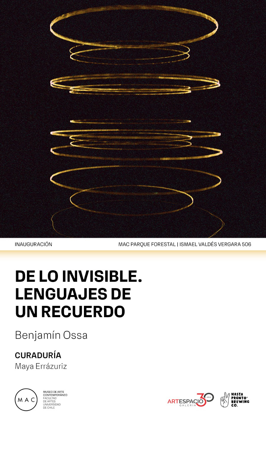 DE LO INVISIBLE LENGUAJES DE UN RECUERDO