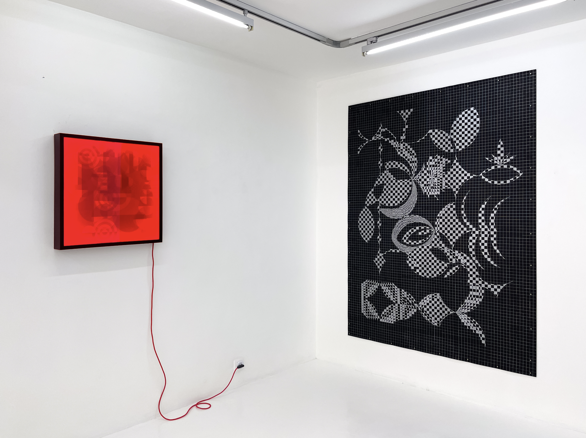 BRINGING HOME ALL THE GLOW